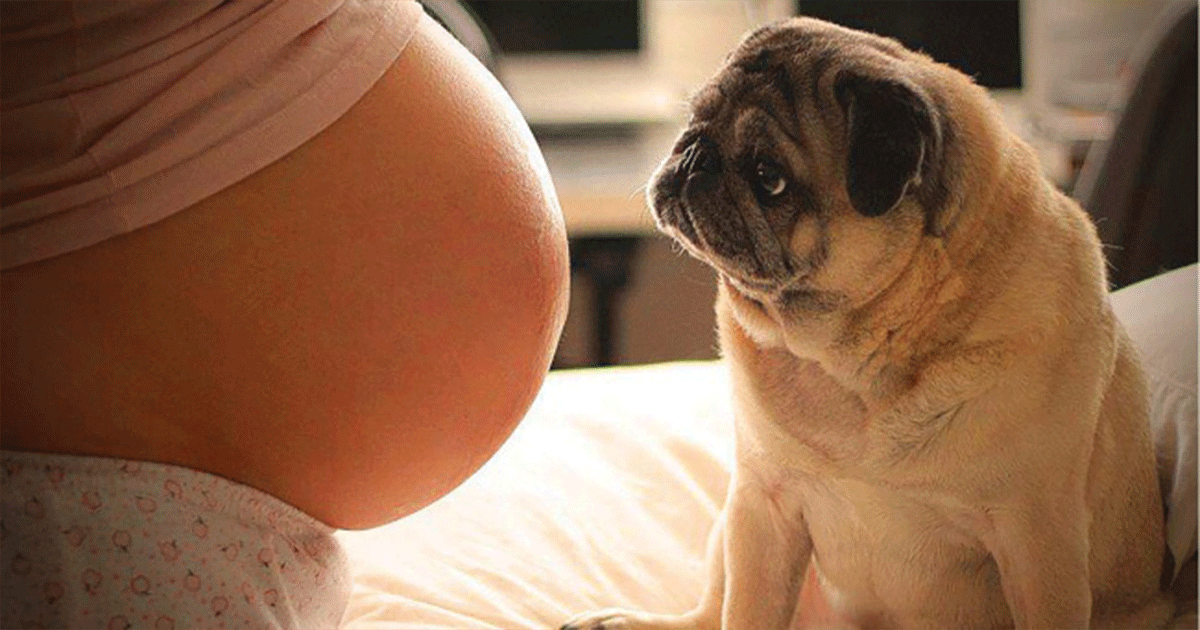 19 Powerful Photos That Can Make Anyone Shed a Tear