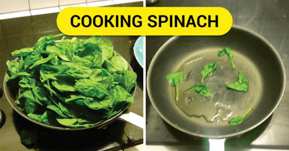 19 Food Memes That Can Make Your Stomach Hurt From Laughing So Hard