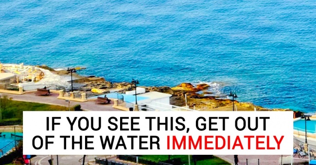 12 Facts That Can Save Your Life One Day