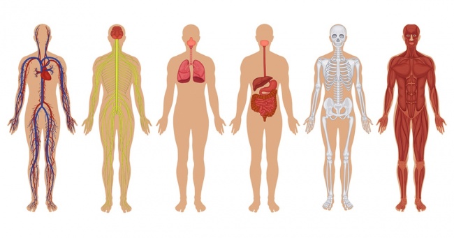 8 Home First-Aid Kit Rules We Often Ignore, and It Can Affect Our Health