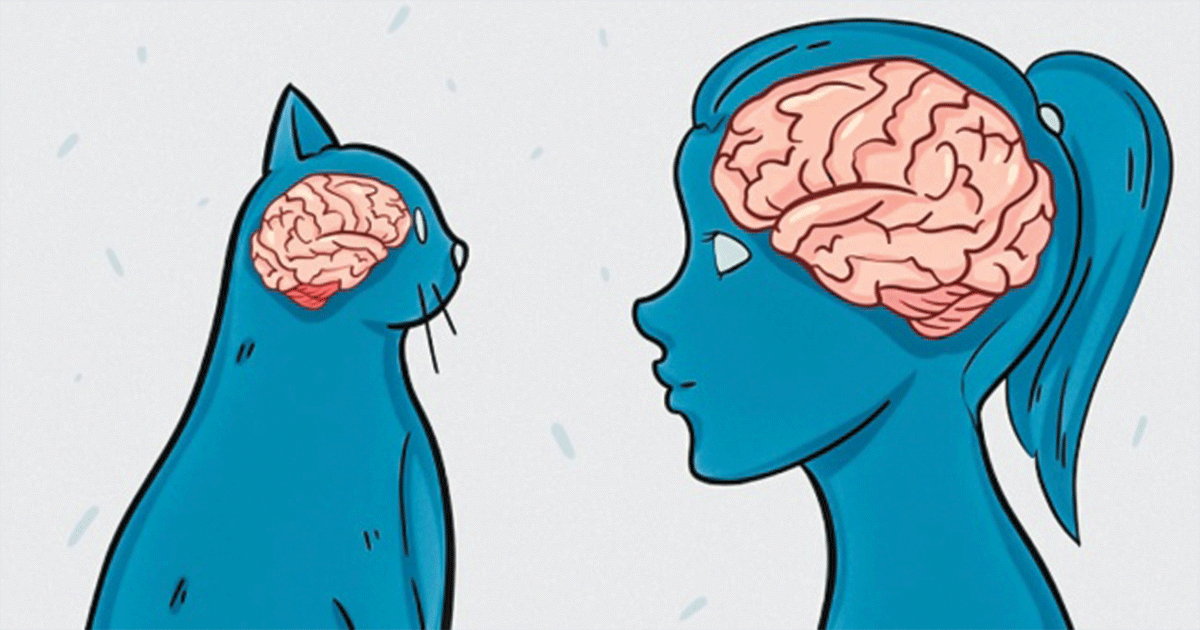 30 Cat Facts That Show How Ridiculously Cool Our Feline Friends Are