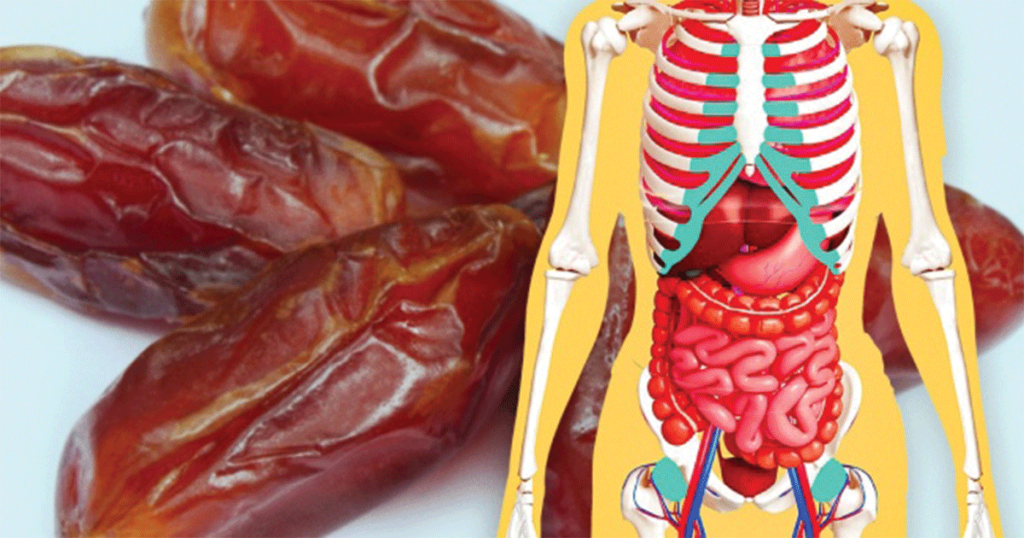 What Will Happen to Your Body if You Start Eating 3 Dates Every Day for a Week