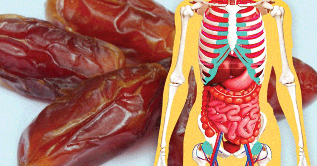 What Will Happen to Your Body if You Start Eating 3 Dates Every Day for a Week