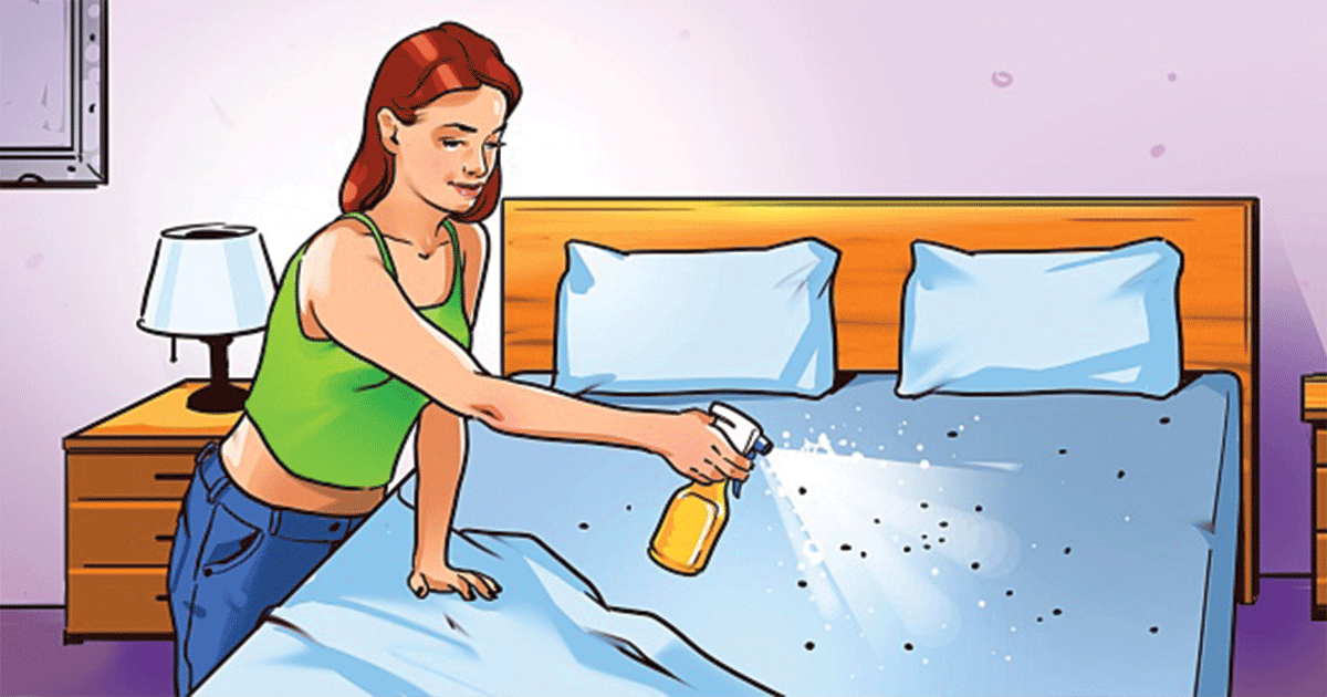 12 Ingenious Ways To Eliminate Bed Bugs for Good