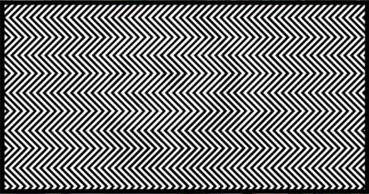 Studies Say Only 1% Of People Can Find The Animal In This Picture. Can You?