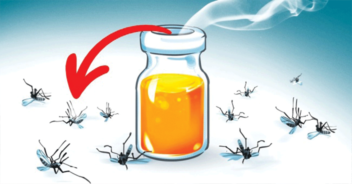 11 Fragrances That Kill Mosquitoes on the Spot
