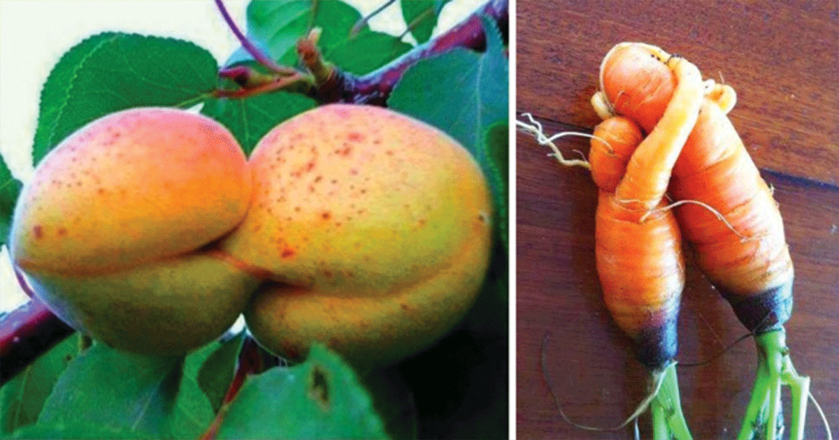 23 Startling Fruits and Vegetables That Seem to Have Come Alive
