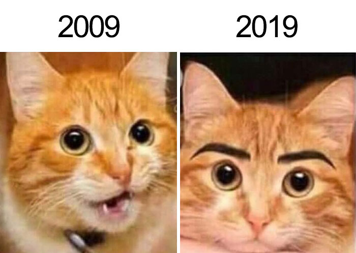 Funny 10 Year Challenge Memes 14