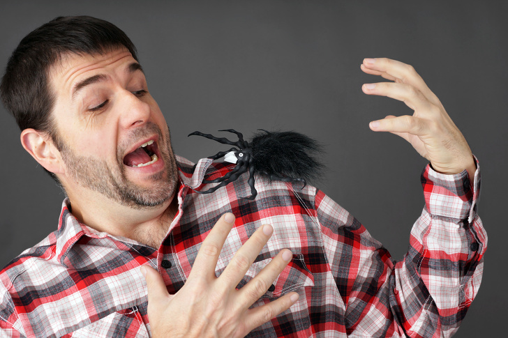 Man Scared By Fake Spider