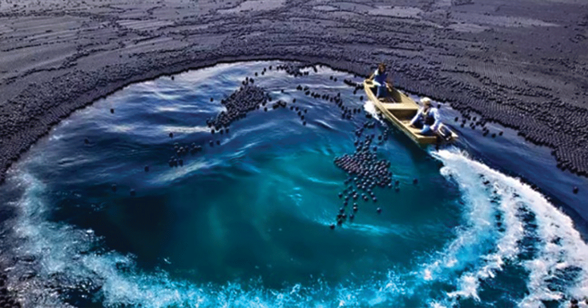 13 Smart Projects That Can Save Our Wounded Planet