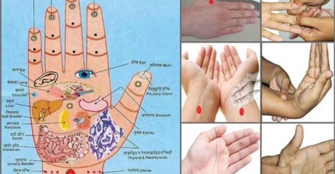 5 MAIN ACCUPRESSURE POINTS FOR SELF TREATMENT ANYTIME, ANYWHERE!