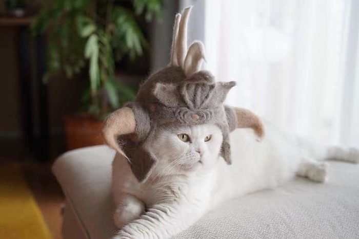 Cats In Hats 02