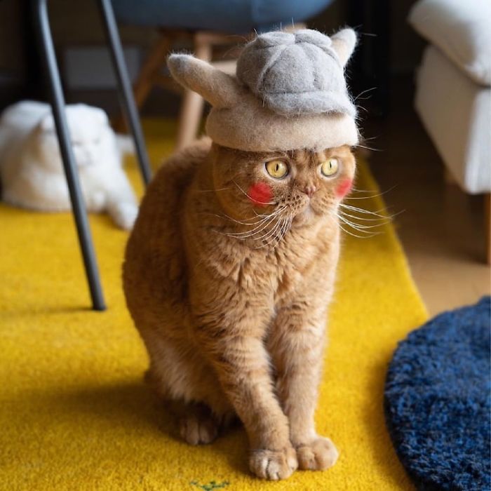 Cats In Hats 16