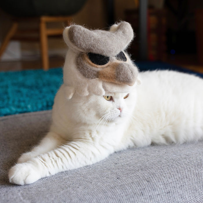 Cats In Hats 20