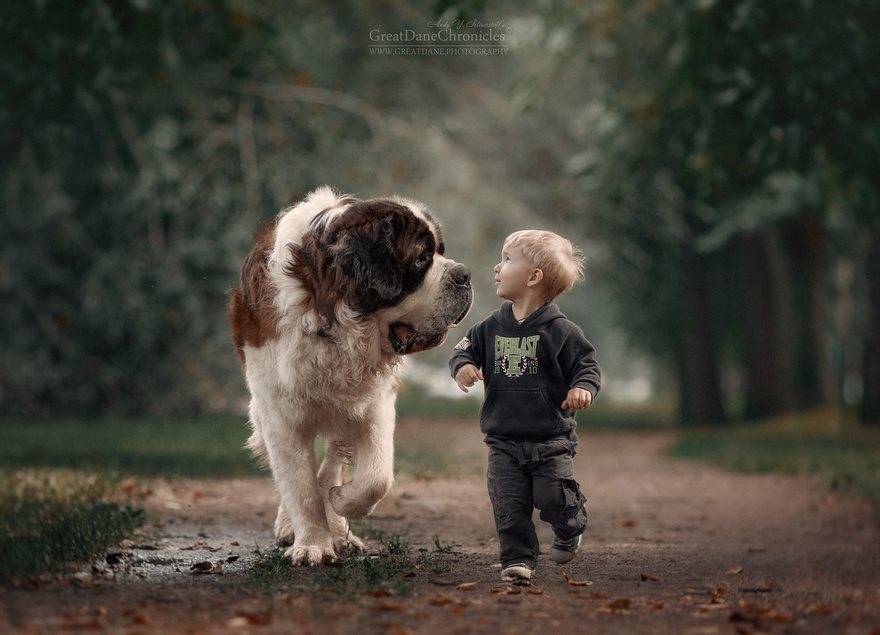Little Kids Big Dogs Friendship 11