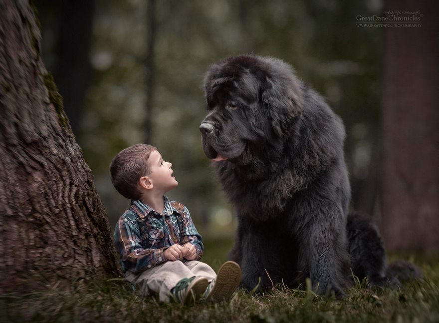 Little Kids Big Dogs Friendship 9