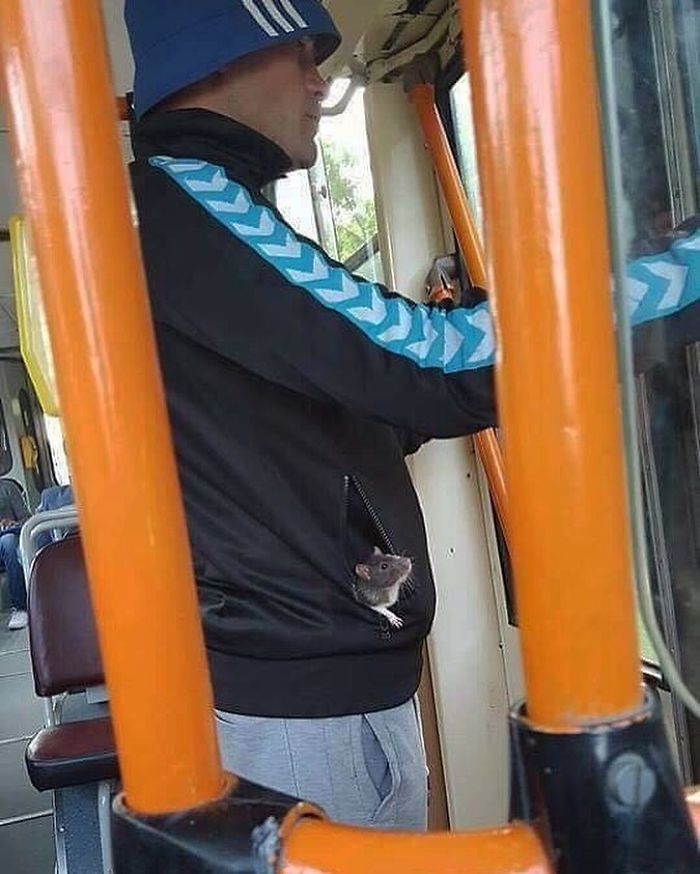 Humans Of Trolleybuses 4