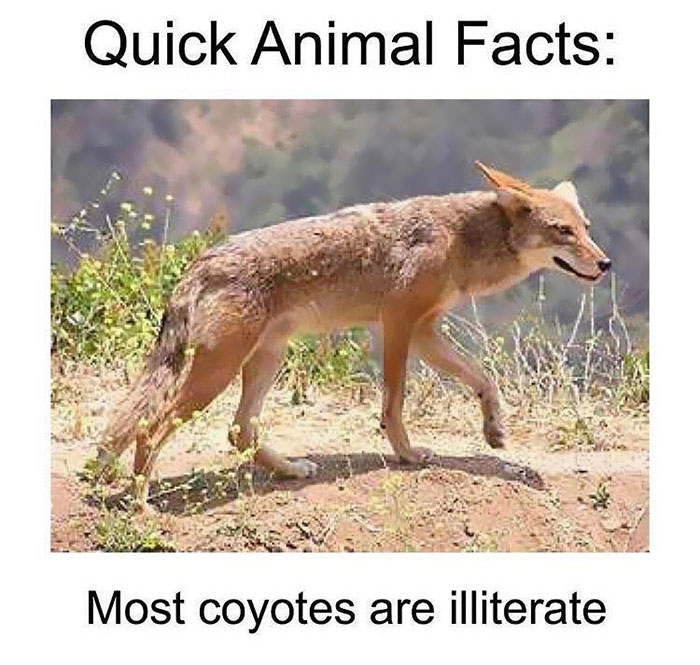 Lousy Animal Facts 70