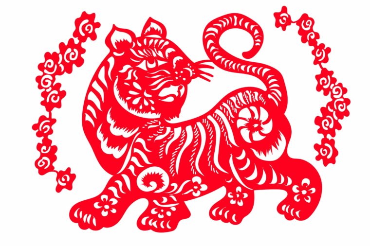 12 What 2018 Has In Store For You Based On Your Chinese Zodiac Sign 760x506