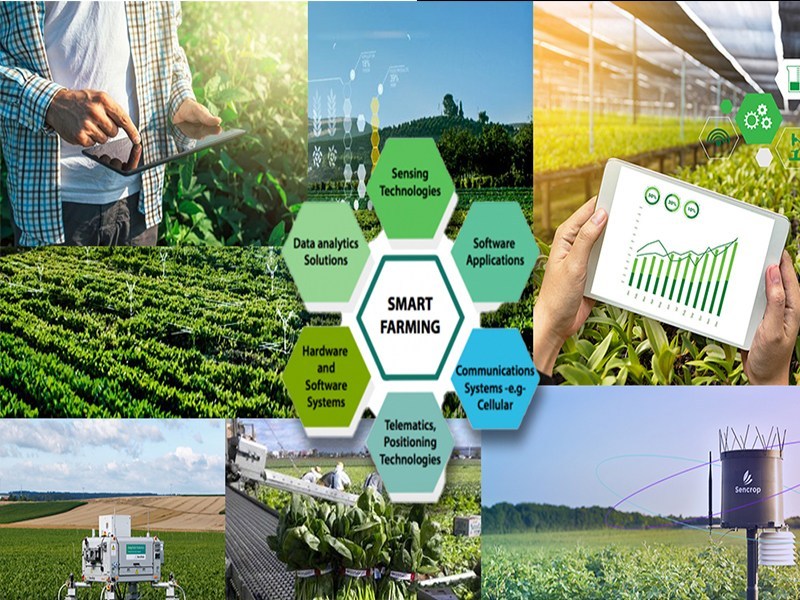 Smart Farming The Future Of Agriculture Technology