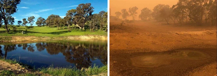 Bushfire Damage Before After Australia 10