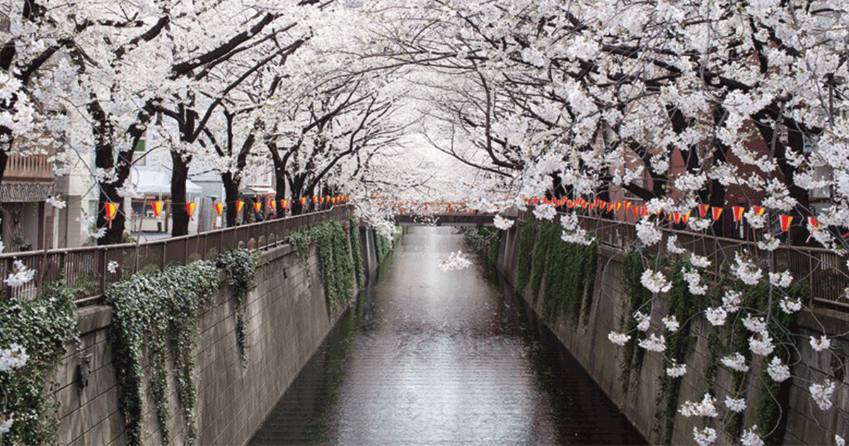 25 Most Beautiful Places in Japan