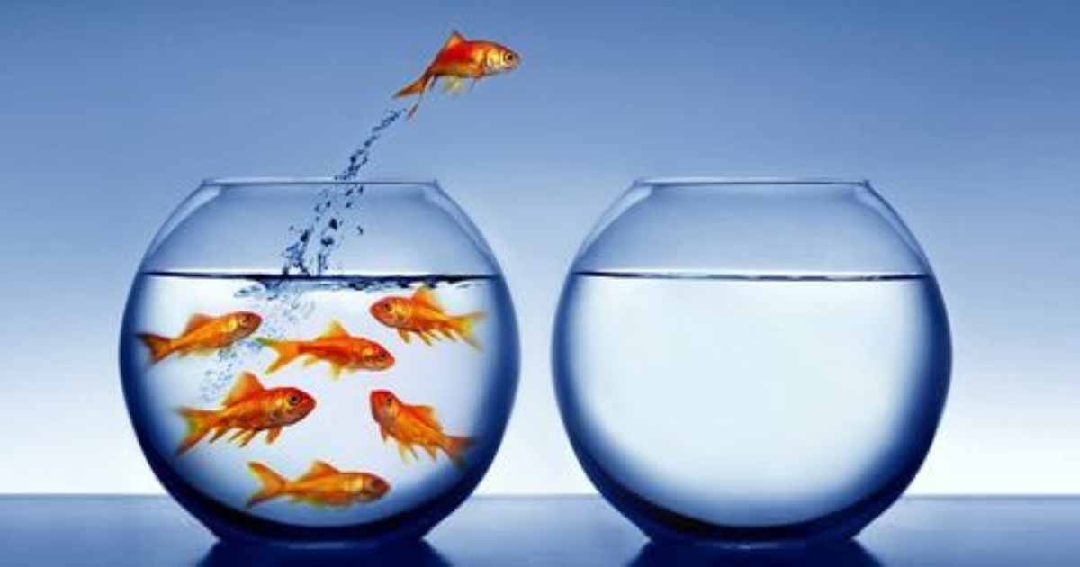 13 tips to help you get out of the comfort zone