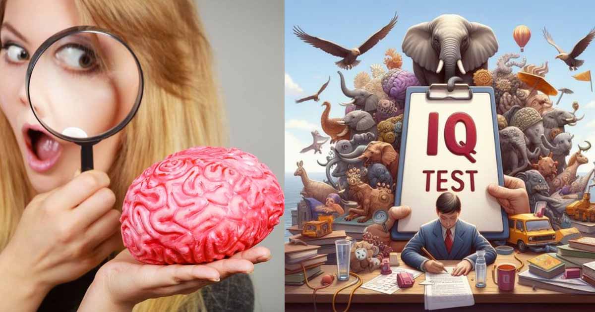 8 Signs You May Have A Higher IQ Than Average