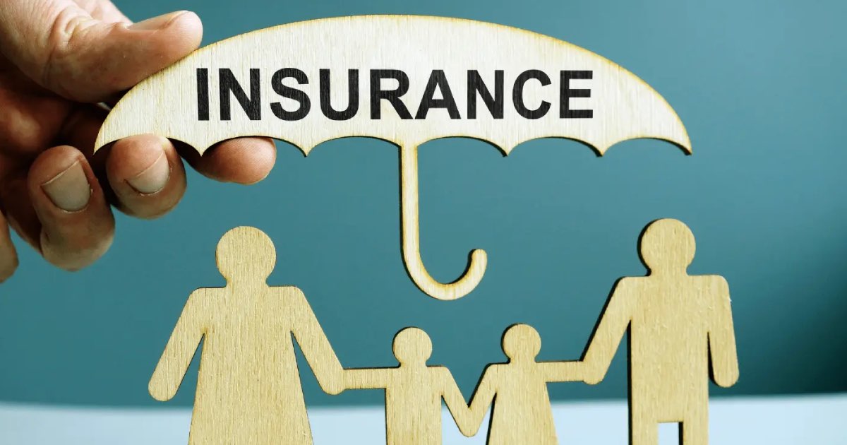 The Best Insurance Policies for Young Adults in 2024