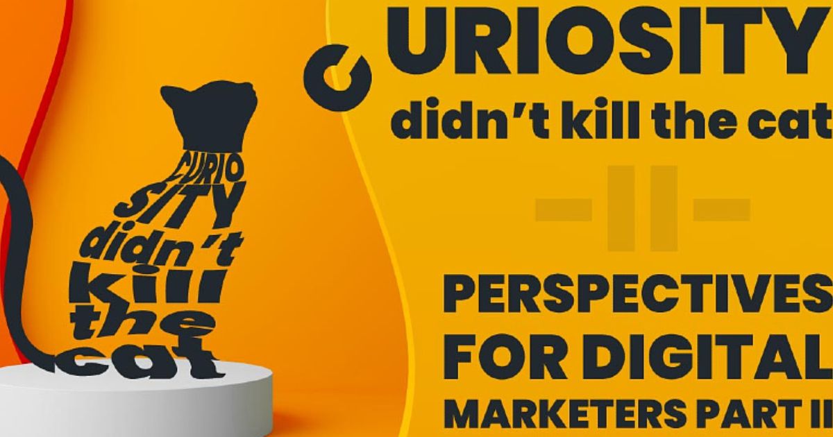 The Fun Side of Digital Marketing: A Cat’s Perspective