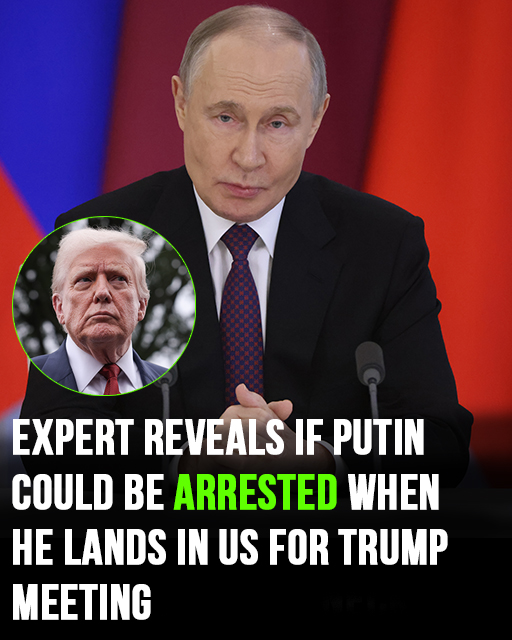 Could Putin Be Arrested in the US? Expert Explains as He Meets Trump in Alaska