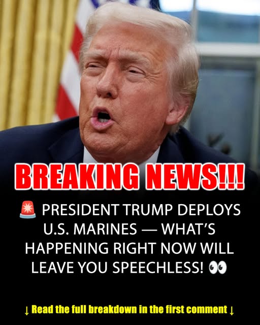 BREAKING NEWS: Trump Deploys 200 U.S. Marines to Support ICE in Florida — Public Split Over Move