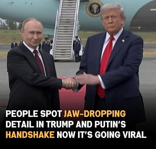 Trump and Putin’s Viral Handshake Stuns Viewers — The Detail Everyone Is Talking About