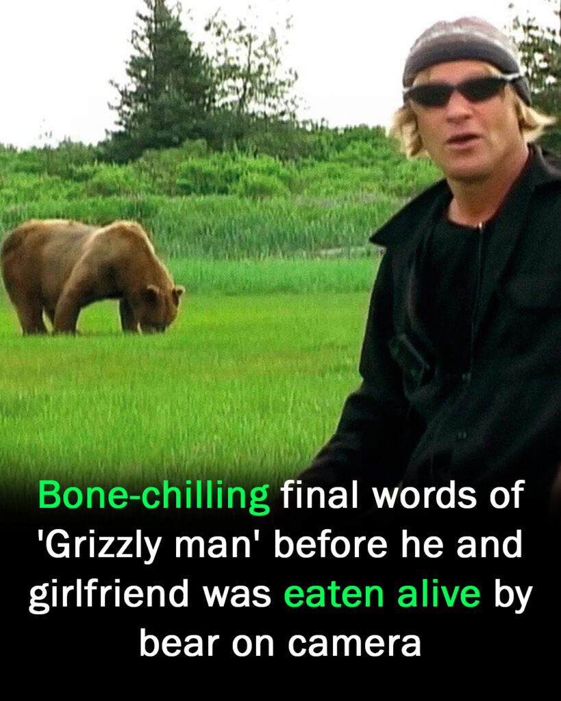 Final Words of ‘Grizzly Man’ Before Fatal Bear Attack in Alaska