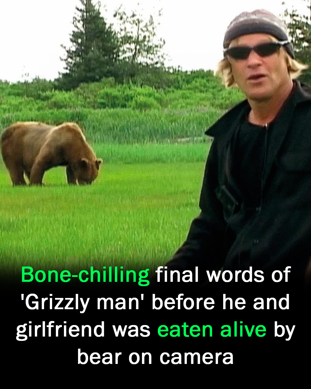 Final Words of ‘Grizzly Man’ Before Fatal Bear Attack in Alaska