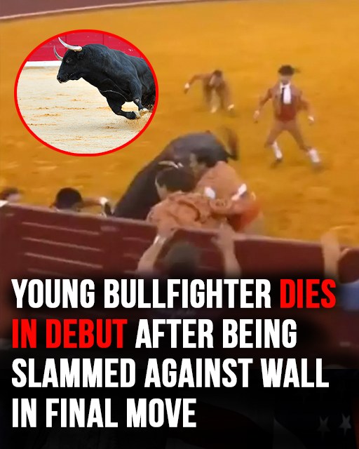 Young Bullfighter Dies During First Performance in Portugal After Brutal Accident