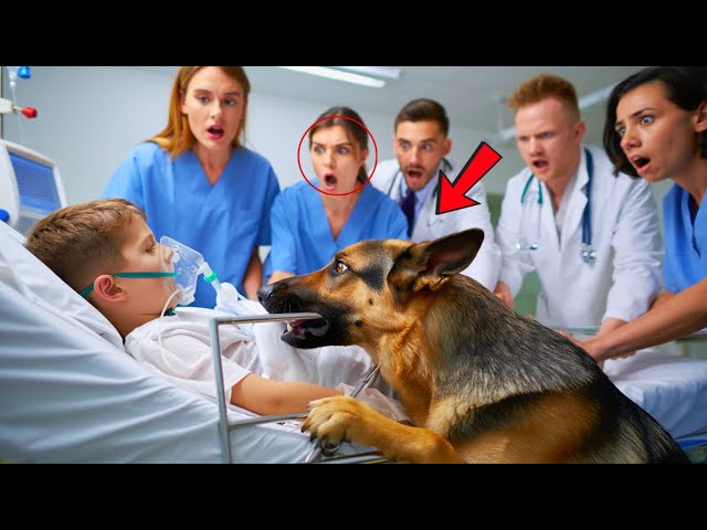 Retired K9 Refuses to Leave Boy’s Bed — His Strange Behavior Leads to Life-Saving Discovery