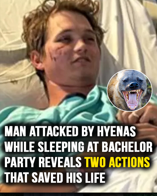 Man Survives Hyena Attack at Bachelor Party by Using Two Brave Moves