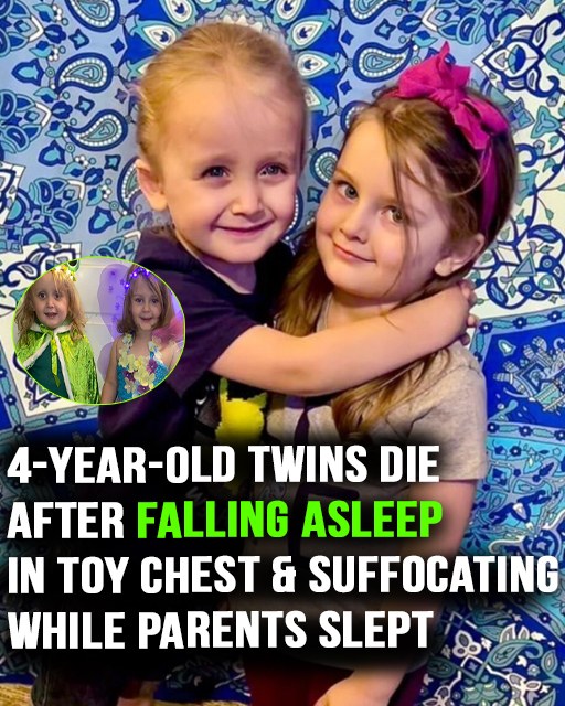 4-Year-Old Twins Tragically Die After Falling Asleep in Toy Chest – Heartbroken Mom Shares Warning to Parents
