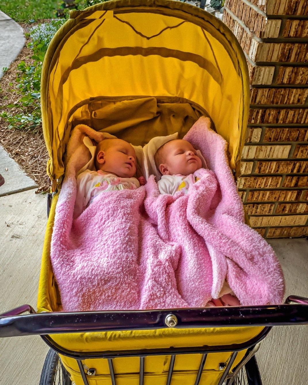 My Teen Daughter Brought Home Newborn Twins — Years Later, a Lawyer Called About a .7M Inheritance