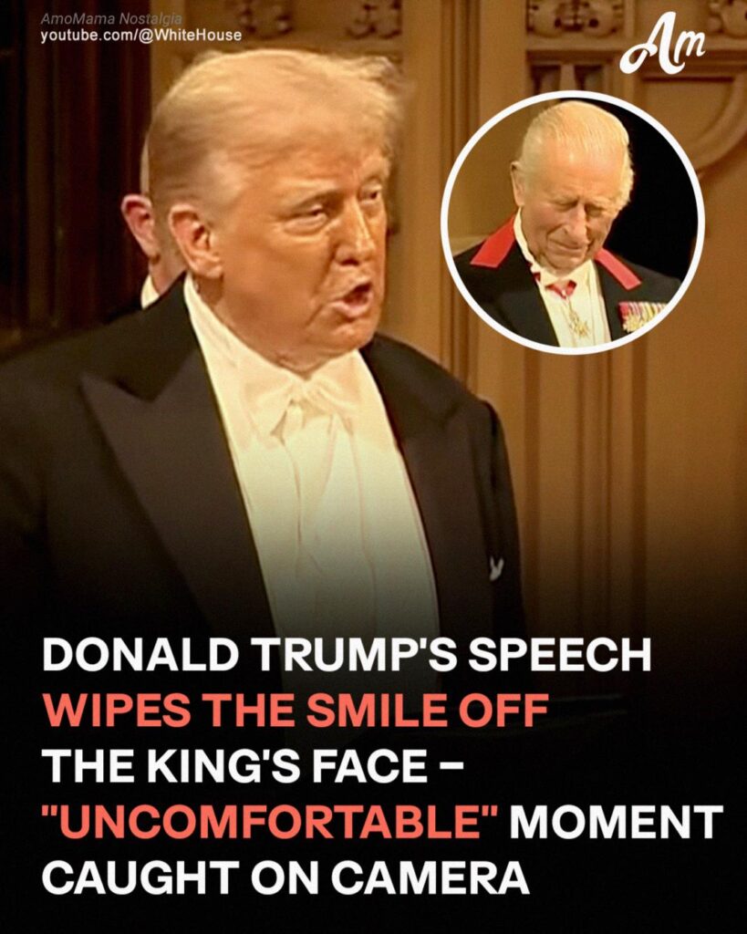 Donald Trump’s State Banquet Speech at Windsor Castle Sparks Mixed Reaction