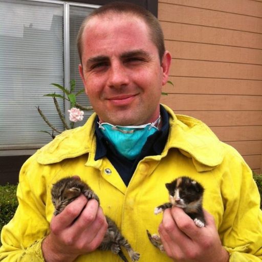 I Risked Everything to Save Two Kittens—But What I Discovered Next Will Haunt Me Forever