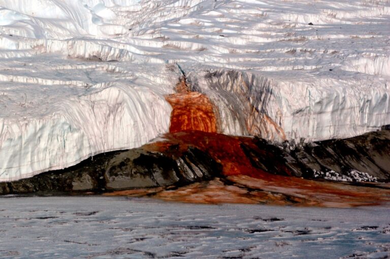 The Mystery Behind Antarctica’s Blood Falls: Science Explains the Red Waterfall