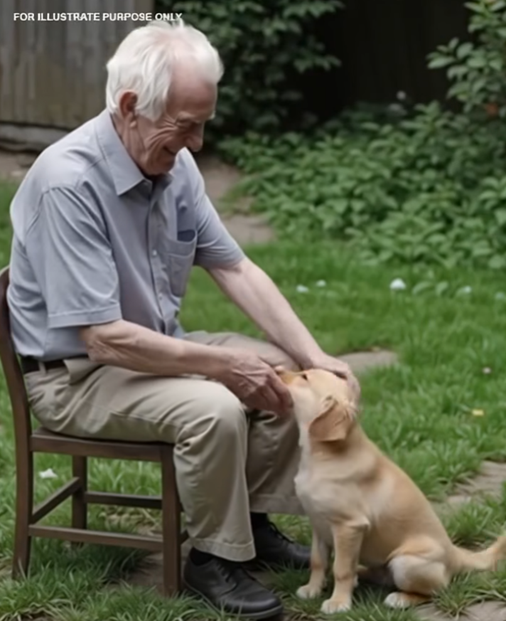 Lonely 91-Year-Old Rescues a Puppy — But the Puppy Ends Up Saving His Life