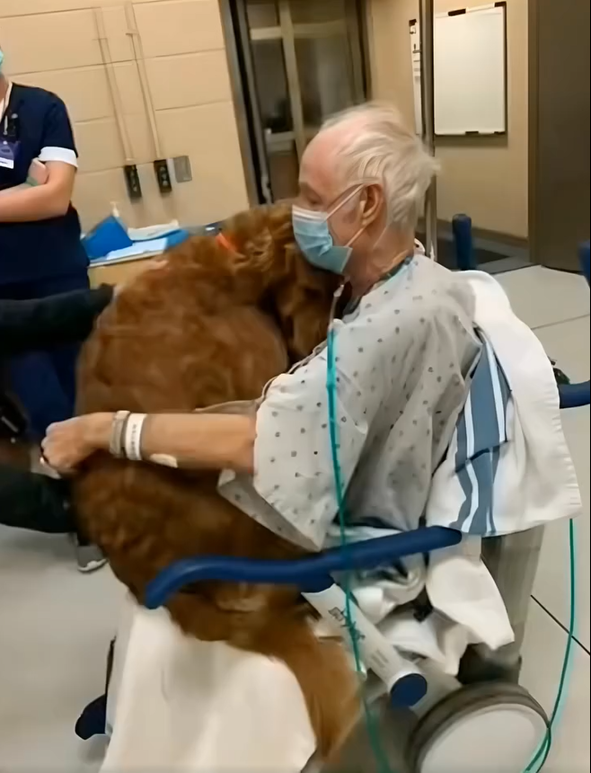 We Didn’t Think He Would Make It Through the Night: The Mystery of “Murphy”