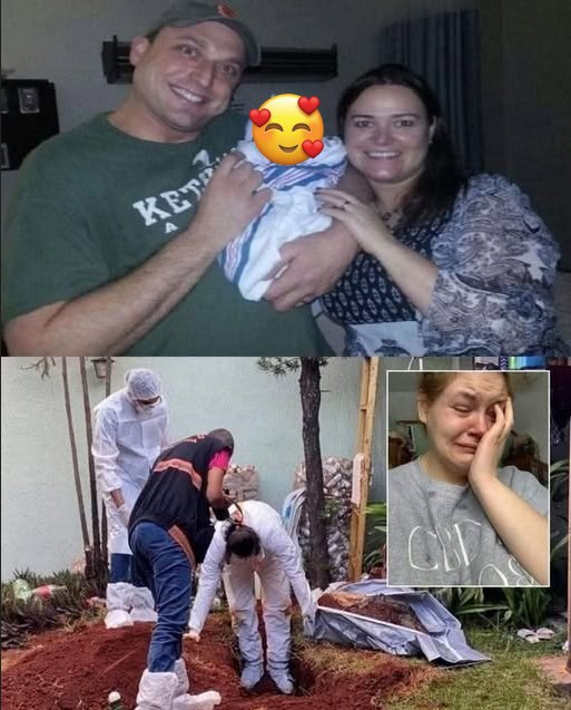 Karolina’s Search Ends with a Shocking Discovery: What Really Happened After the Adoption?