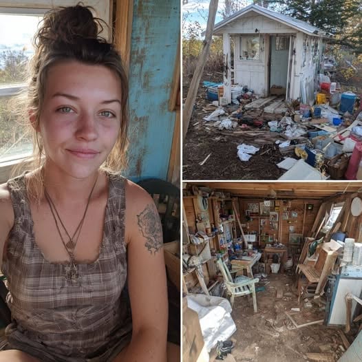 Recently Divorced Woman Turns 10×11 Shed into a Cozy Tiny Home
