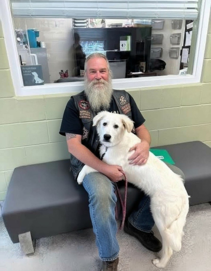 Biker Finds Dog Chained to a Bridge With a Heartbreaking Note