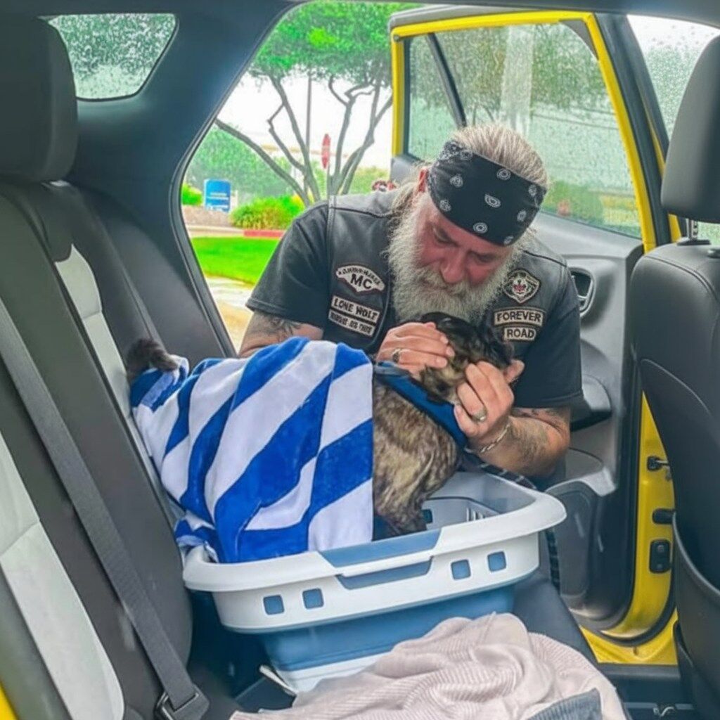 Biker Breaks Down Crying on Highway After Finding What Was Wrapped in That Blue Towel
