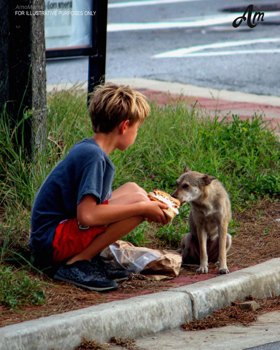 My Son Shared His Lunch with a Stray Dog Every Day — Until a Red SUV Pulled Up Beside Him
